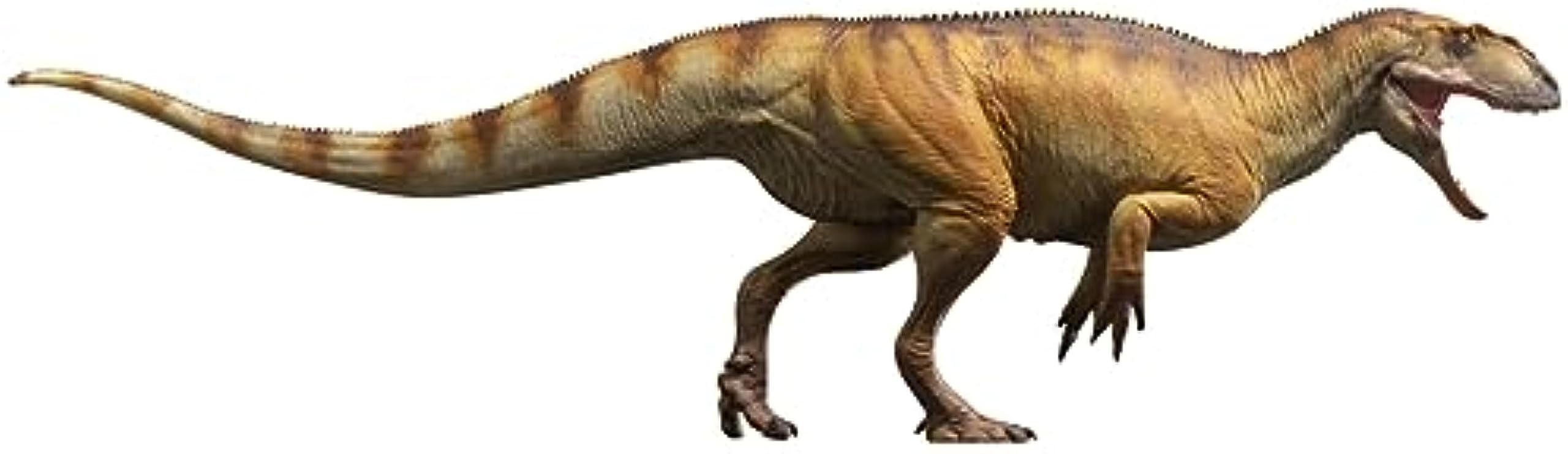 Amazon | PNSO 成長シリーズ 77 ジュラ紀 ヤンチュアノサウルス 肉食